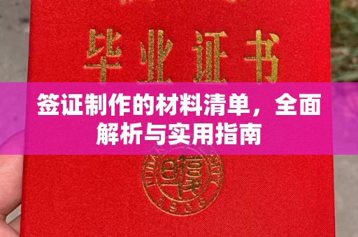 新巴尔虎右旗签证制作的材料清单，全面解析与实用指南